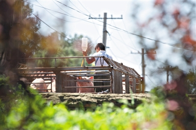 泛亚电竞平台_云南学前教育条例新规:不得对幼儿进行“超前教育”(图2) 泛亚电竞官网
